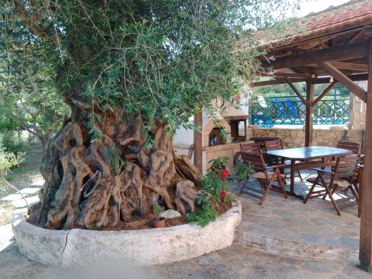 Pool Villa Grigoris Aspiotades Dış mekan fotoğraf
